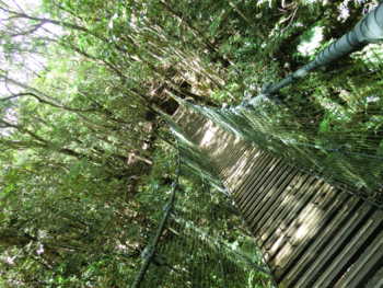 f:id:rawpower521:20110711150533j:image f:id:rawpower521:20110711150533j:image
