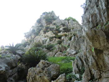 f:id:rawpower521:20110711170929j:image f:id:rawpower521:20110711170929j:image
