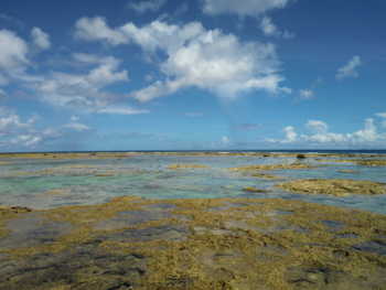 f:id:rawpower521:20110712103039j:image f:id:rawpower521:20110712103039j:image