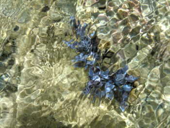 f:id:rawpower521:20110712104532j:image f:id:rawpower521:20110712104532j:image