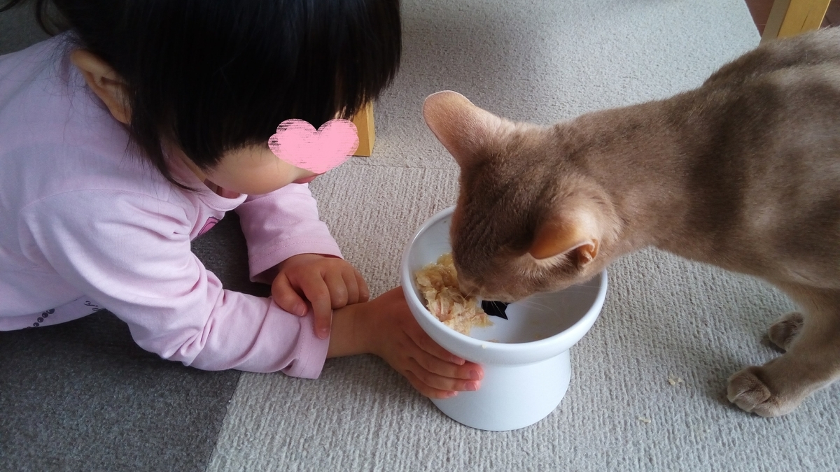 f:id:ray-koo:20200414201303j:plain