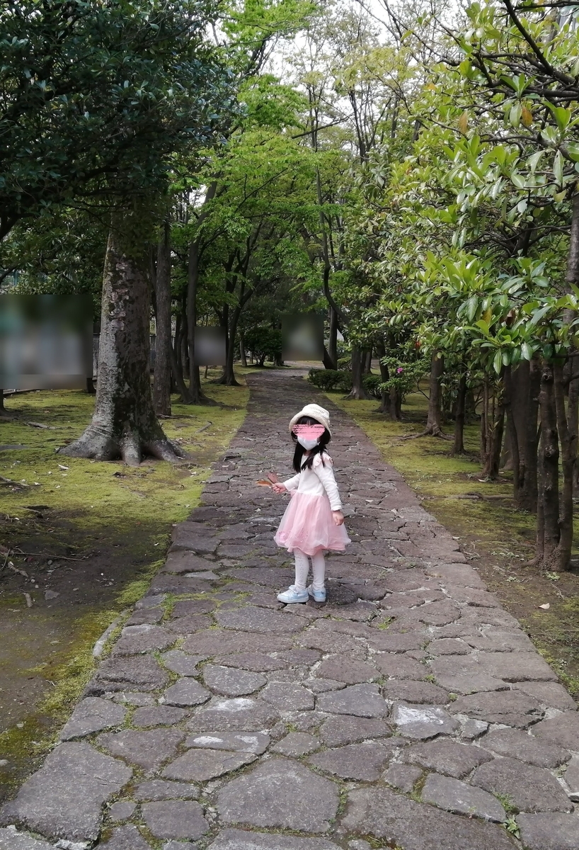 f:id:ray-koo:20200422212740j:plain