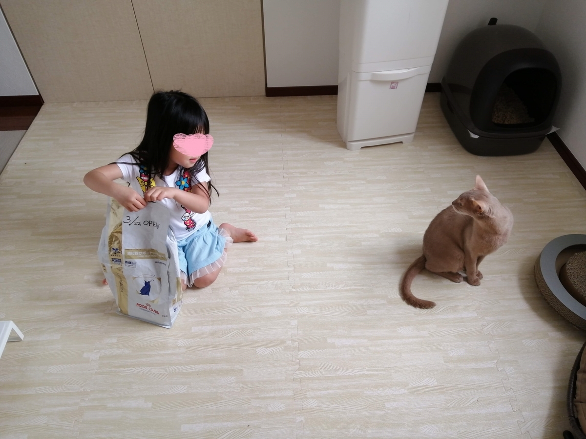 f:id:ray-koo:20200515210156j:plain
