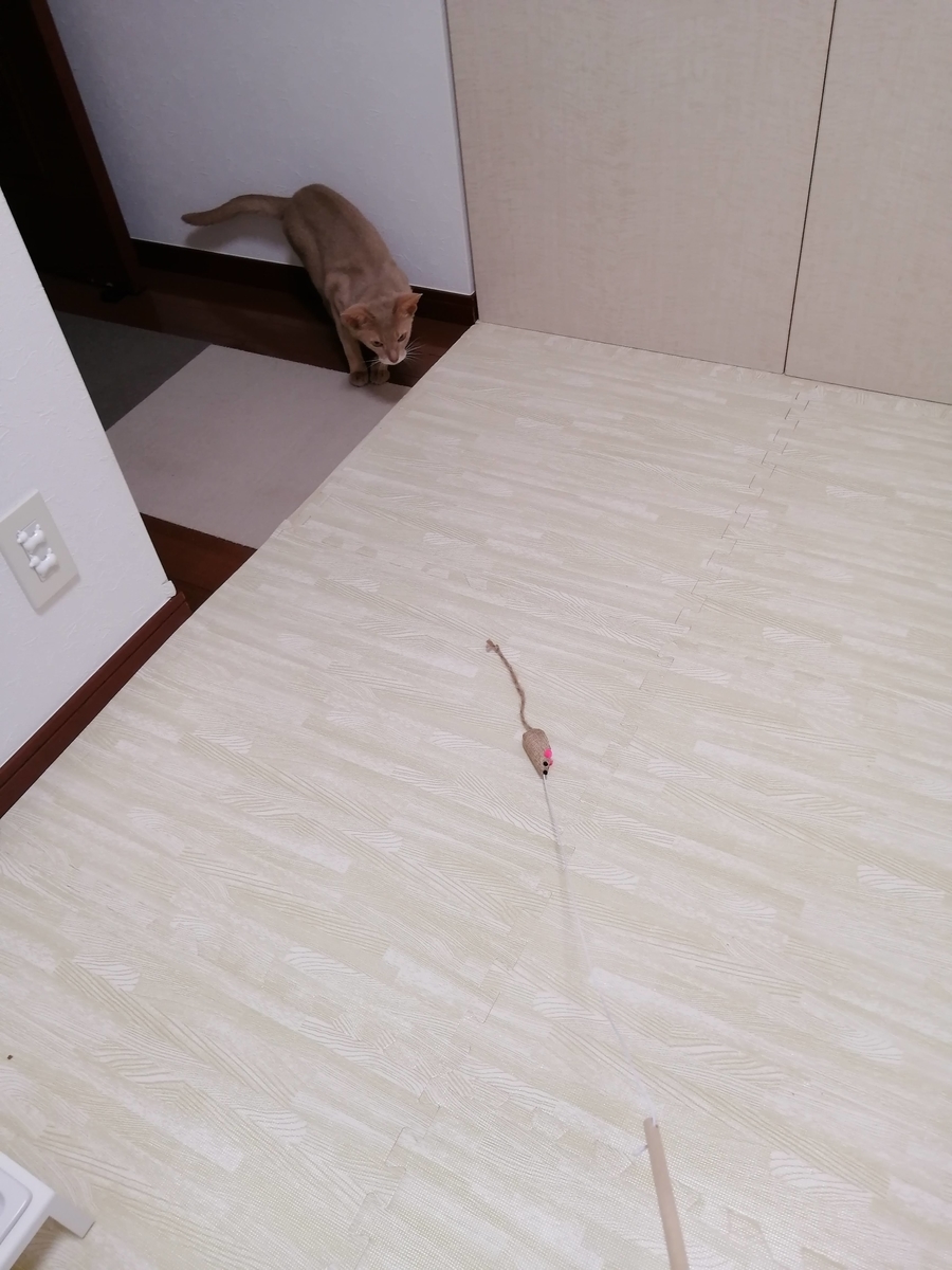 f:id:ray-koo:20200711204436j:plain