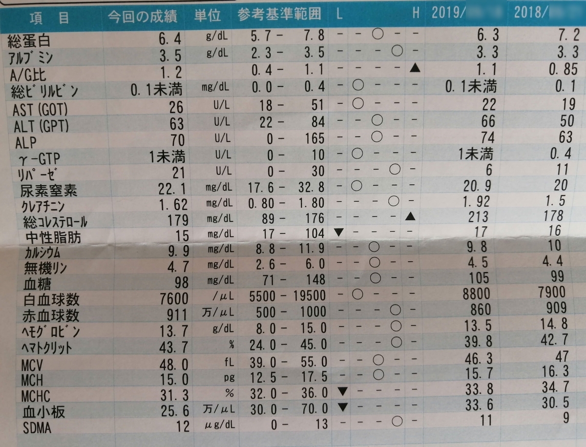 f:id:ray-koo:20200929103232j:plain