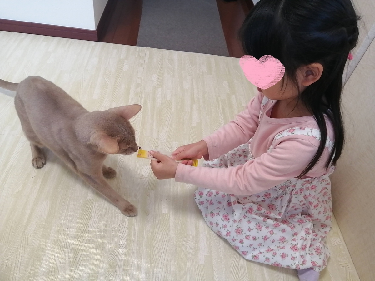 f:id:ray-koo:20201227203039j:plain