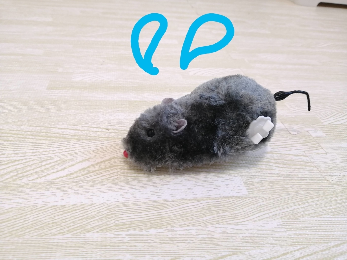 f:id:ray-koo:20201227203222j:plain
