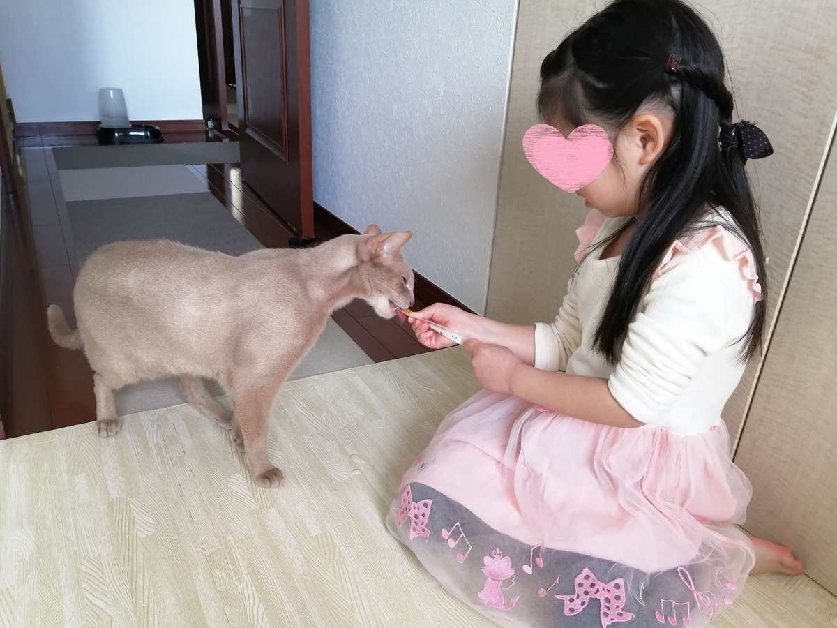 f:id:ray-koo:20210215211016j:plain