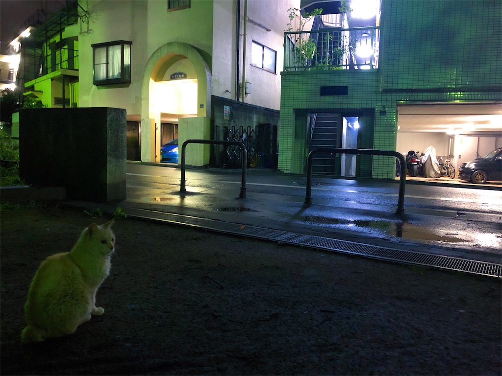 f:id:ray887:20190709002413j:image