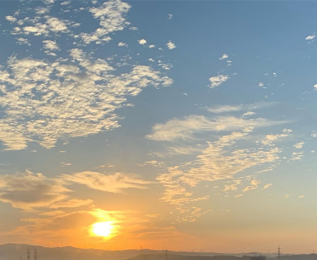 f:id:ray_flower:20251018225833j:image