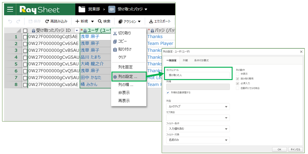 カスタム項目を設定する