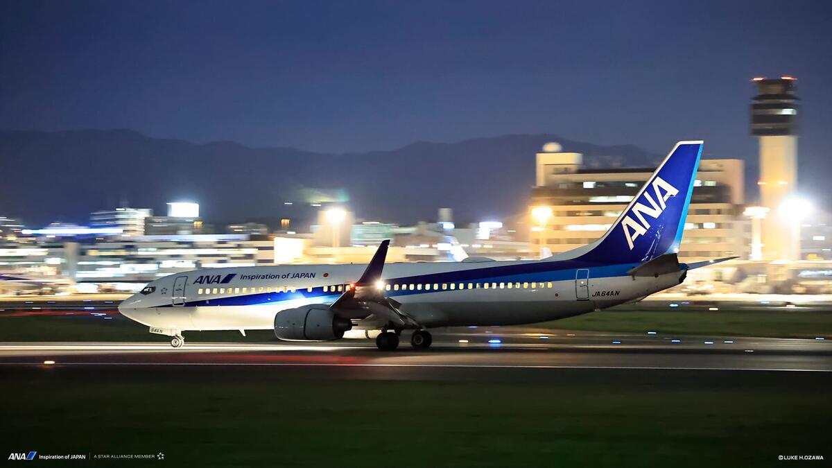 ANA株主優待の魅力と使い方 - 俺たち働きたくない