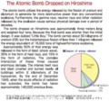 http://www.pcf.city.hiroshima.jp/virtual/img/pamphlet/english.pdf
