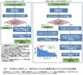 http://radioactivity.nsr.go.jp/ja/contents/6000/5197/view.html