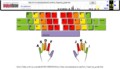 http://web.archive.org/web/20130113050703/http://www.tactuskeyboard.com/twt_fingering_guide.htm