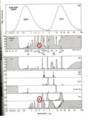 http://www.unc.edu/~tshay/radiationabsorb.png を圧縮、赤印加筆
