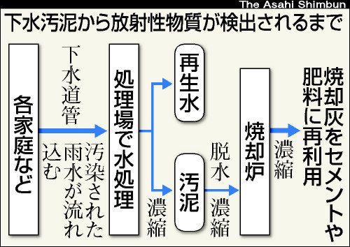 図:下水汚泥から放射性物質が検出されるまで
