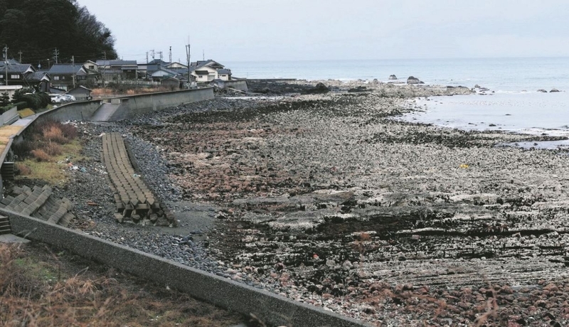 地盤の隆起で海底がむき出しになった珠洲市の沿岸＝9日