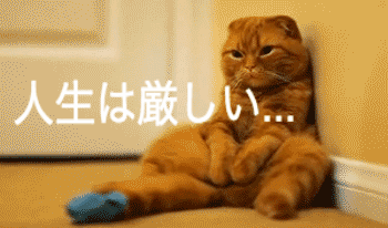 f:id:razokulover:20140619225553g:plain