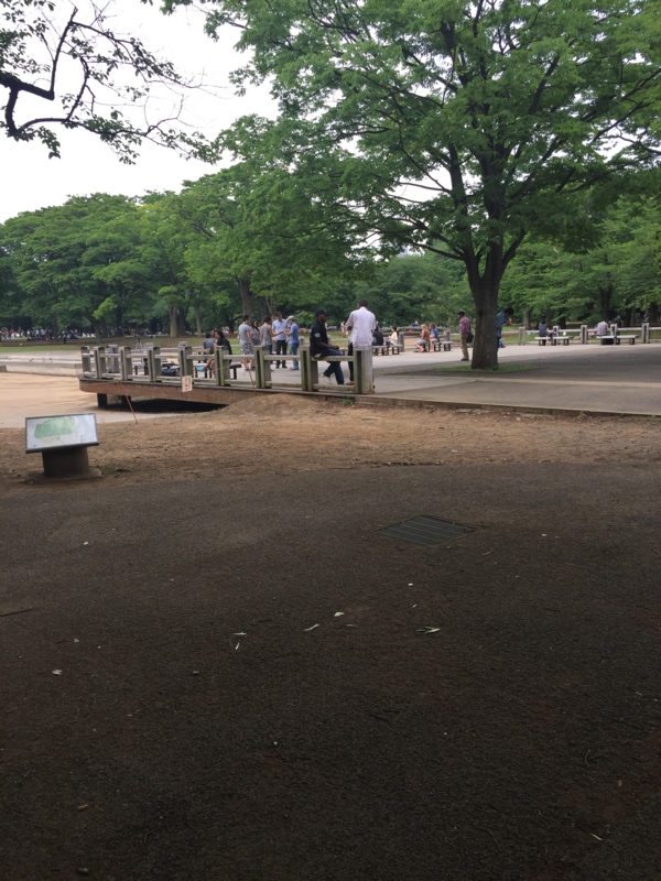 f:id:razokulover:20150524150534j:plain