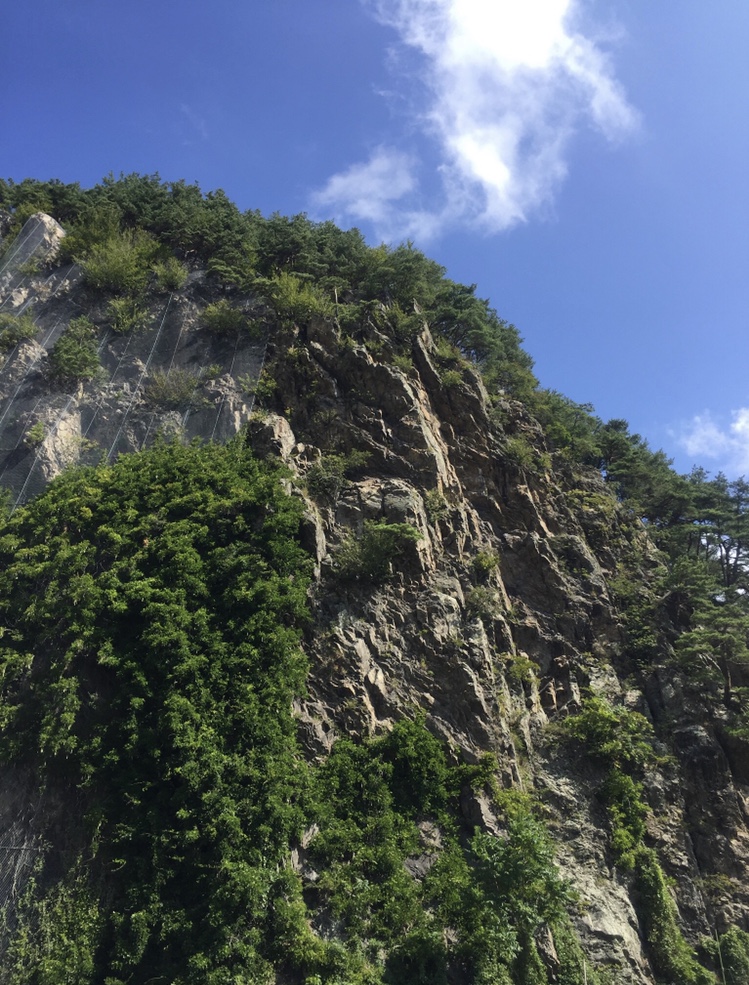f:id:rcenci:20190608213141j:plain
