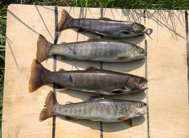 f:id:rcenci:20190622210544j:plain