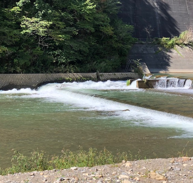 f:id:rcenci:20190915105307j:plain f:id:rcenci:20190915105307j:plain