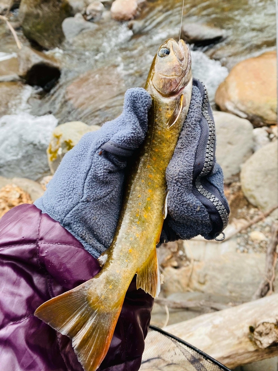 f:id:rcenci:20210313110607j:plain