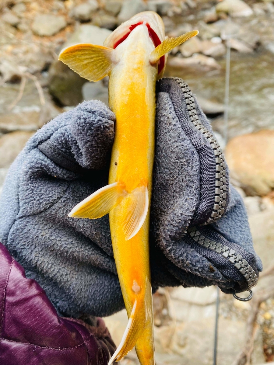 f:id:rcenci:20210313110712j:plain