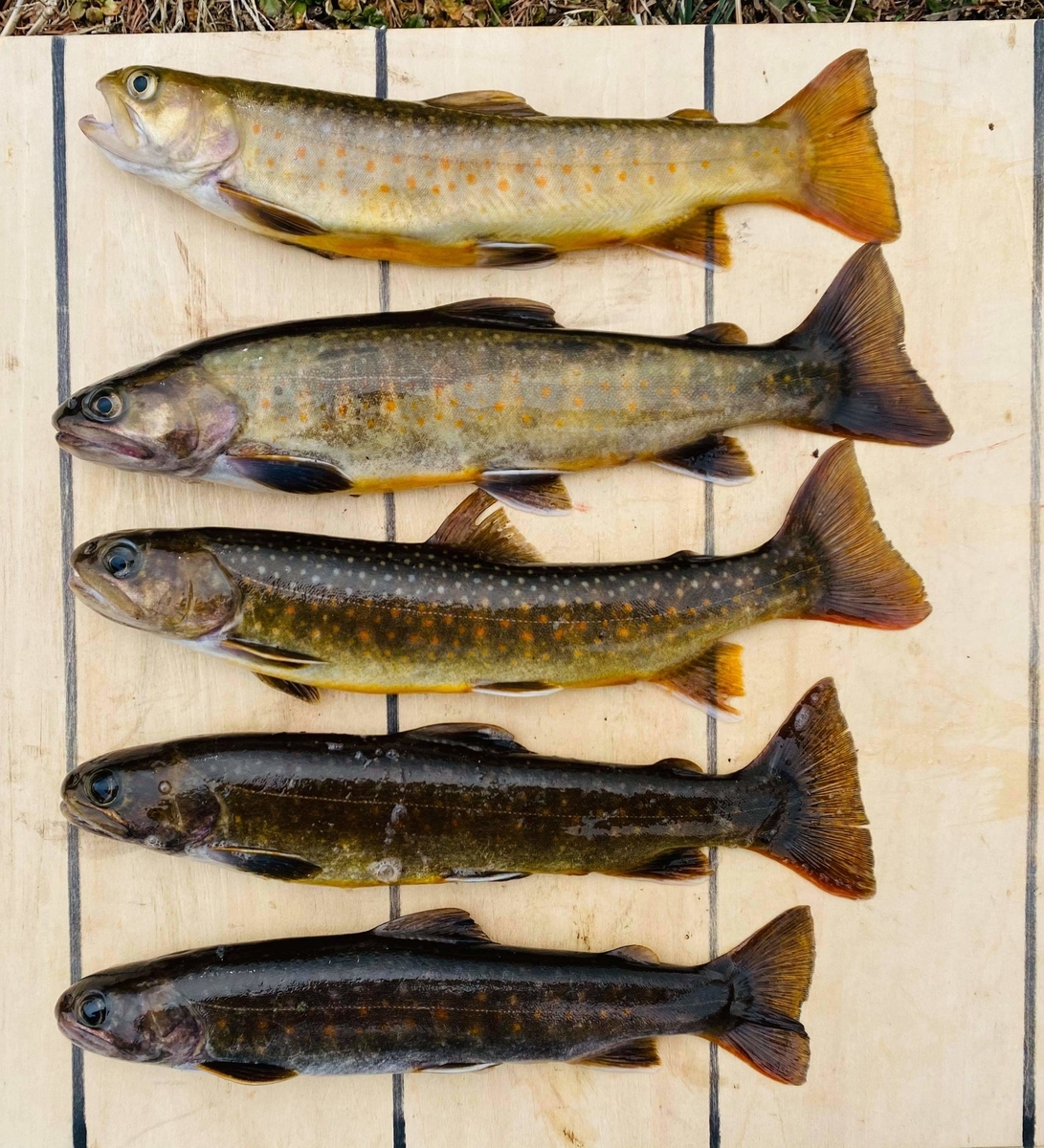 f:id:rcenci:20210313110750j:plain