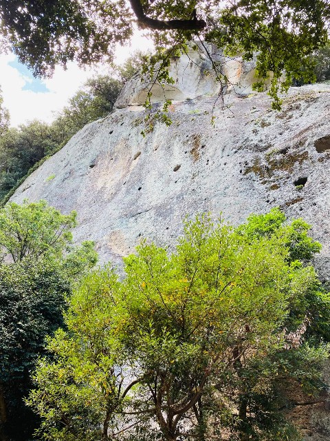 f:id:rcenci:20220730124020j:image