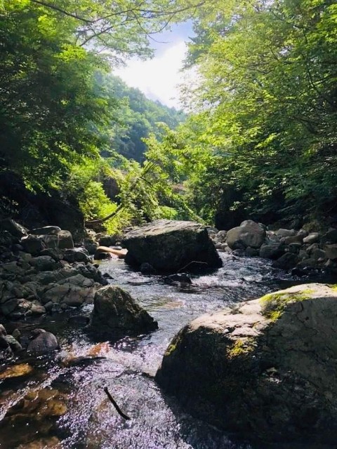 f:id:rcenci:20220806132246j:image