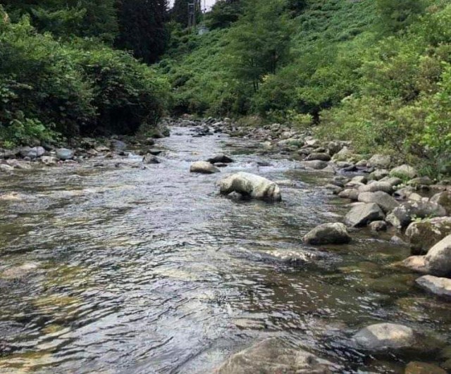 f:id:rcenci:20220827201851j:image