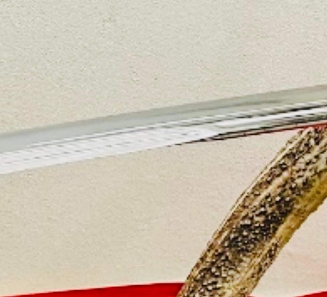 f:id:rcenci:20230218200537j:image