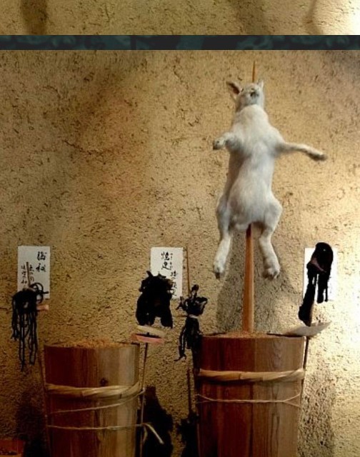 f:id:rcenci:20230304124819j:image f:id:rcenci:20230304124819j:image