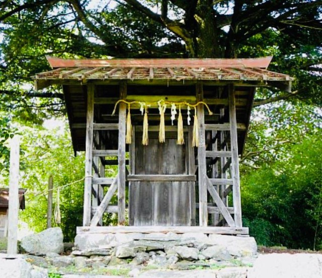 f:id:rcenci:20230304124828j:image f:id:rcenci:20230304124828j:image