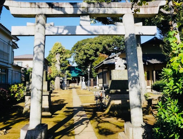 f:id:rcenci:20230304124927j:image f:id:rcenci:20230304124927j:image