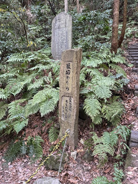 f:id:rcenci:20240310132048j:image