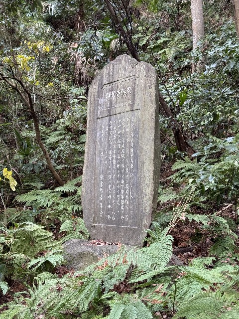 f:id:rcenci:20240310132106j:image