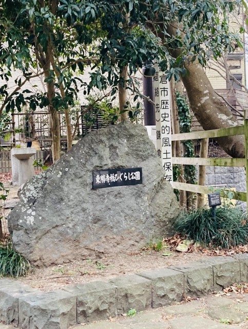 f:id:rcenci:20240310132135j:image