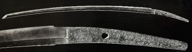 f:id:rcenci:20240331163401j:image