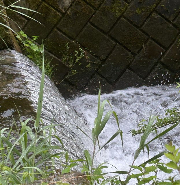 f:id:rcenci:20240623070408j:image