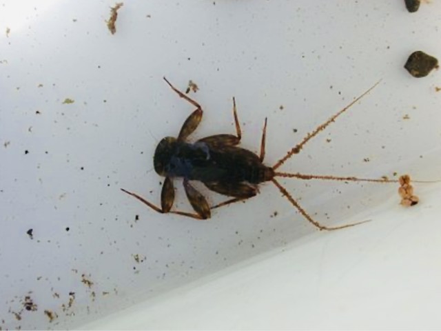 f:id:rcenci:20240929085912j:image