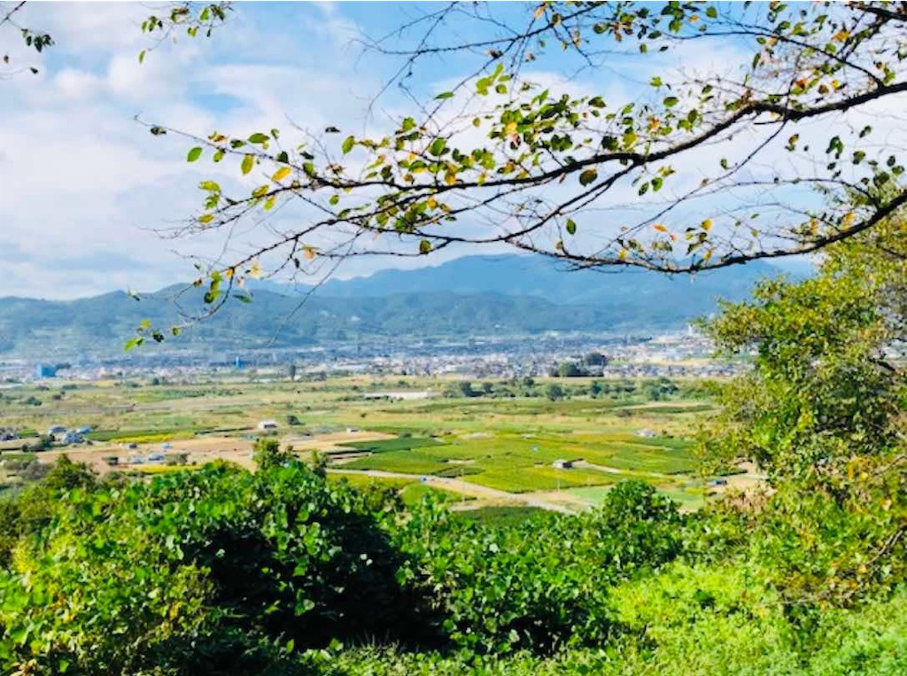 f:id:rcenci:20250125135850j:image