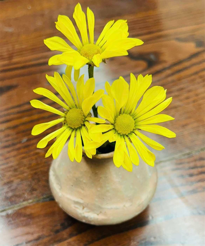 f:id:rcenci:20250506105537j:image