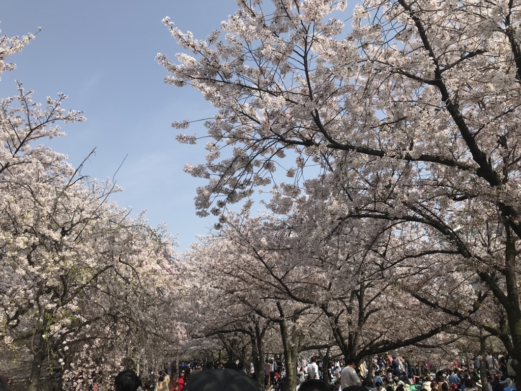 f:id:rcs-cheers:20180505111829j:plain f:id:rcs-cheers:20180505111829j:plain