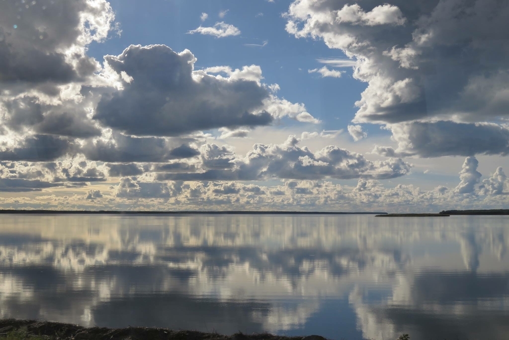 f:id:rcs-cheers:20190127220332j:plain f:id:rcs-cheers:20190127220332j:plain