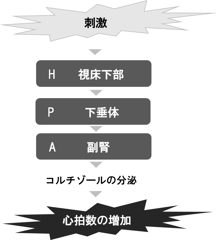 f:id:rd0021ir:20201206070854p:plain