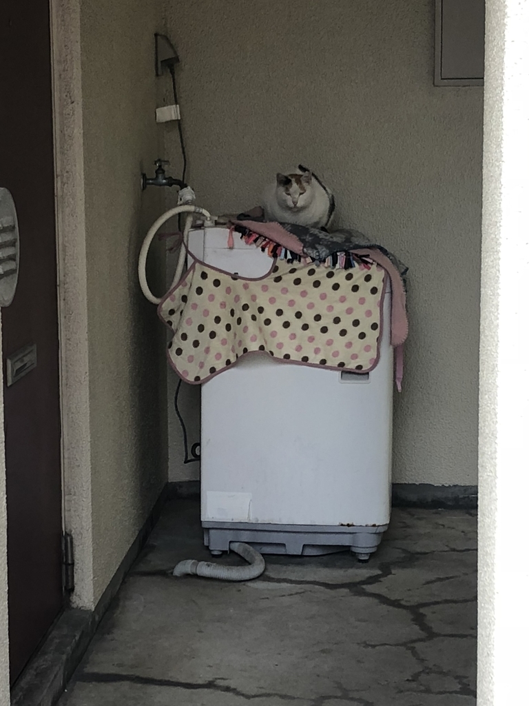 f:id:rd0800235235:20181129014531j:plain