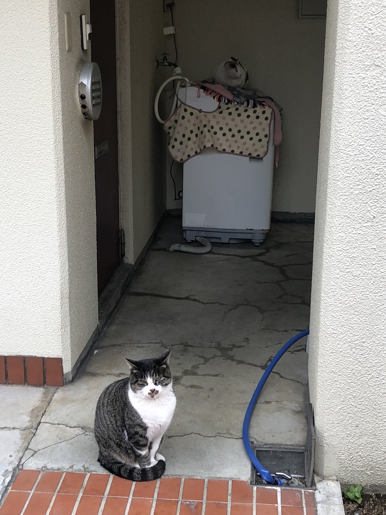 f:id:rd0800235235:20181129014614j:plain